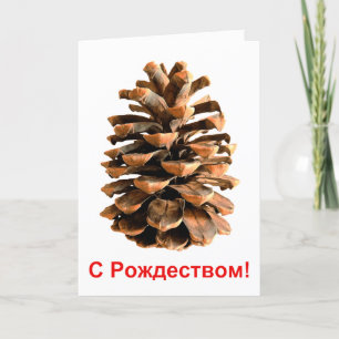 Tarjeta Festiva S Rozhdestvom - Cono de Pino de Jerusalén