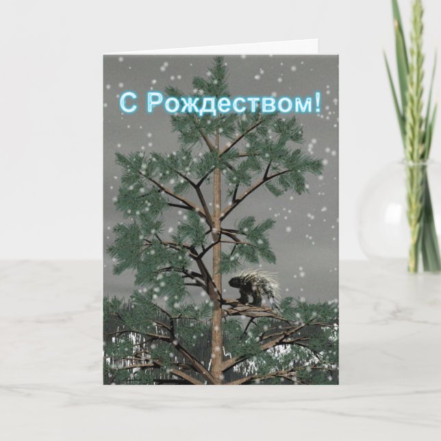 Tarjeta Festiva S Rozhdestvom - Porcupine In A Pine Tree (Anverso)