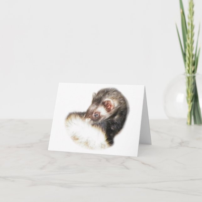 Tarjeta Festiva Sable Ferret Picture (Anverso)