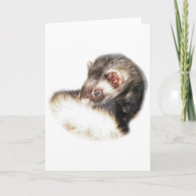 Tarjeta Festiva Sable Ferret Picture (Anverso)