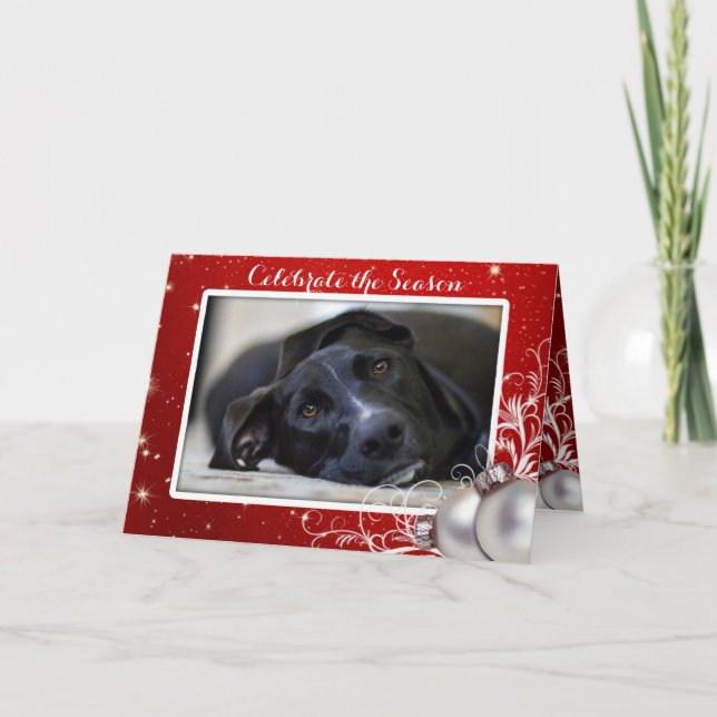 Tarjeta Festiva Saludo fotográfico del Mascota de la familia de Na (Anverso)
