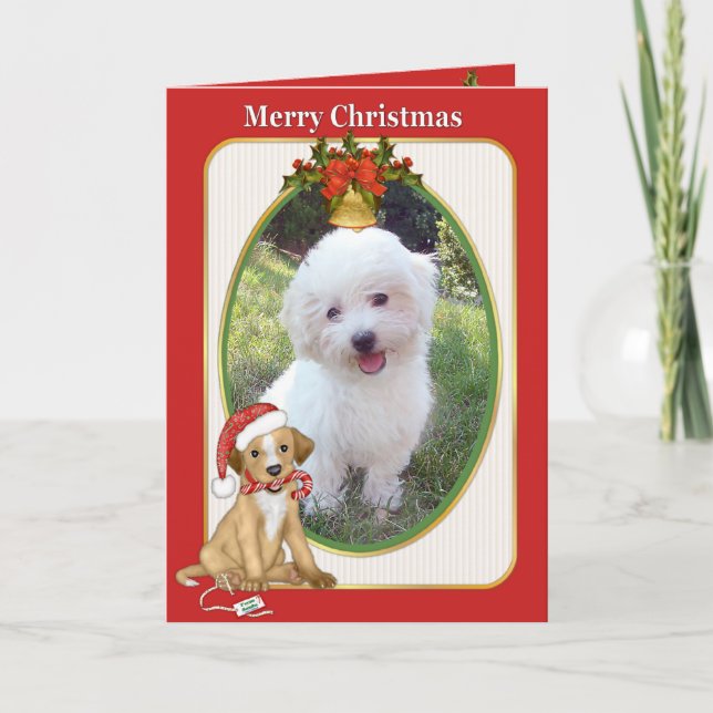 Tarjeta Festiva Saludo fotográfico del Mascota de perro de Santa E (Anverso)