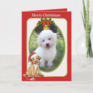 Tarjeta Festiva Saludo fotográfico del Mascota de perro de Santa E