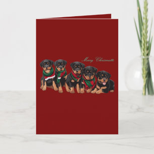 Tarjeta Festiva Saludo Navideño de la Familia Canina de los Merry