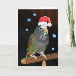 Tarjeta Festiva saludos Blanco-capsulados de Pionus Santa