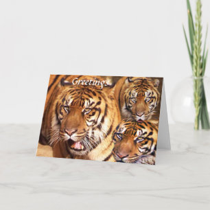 Tarjeta Festiva Saludos con Love_Card