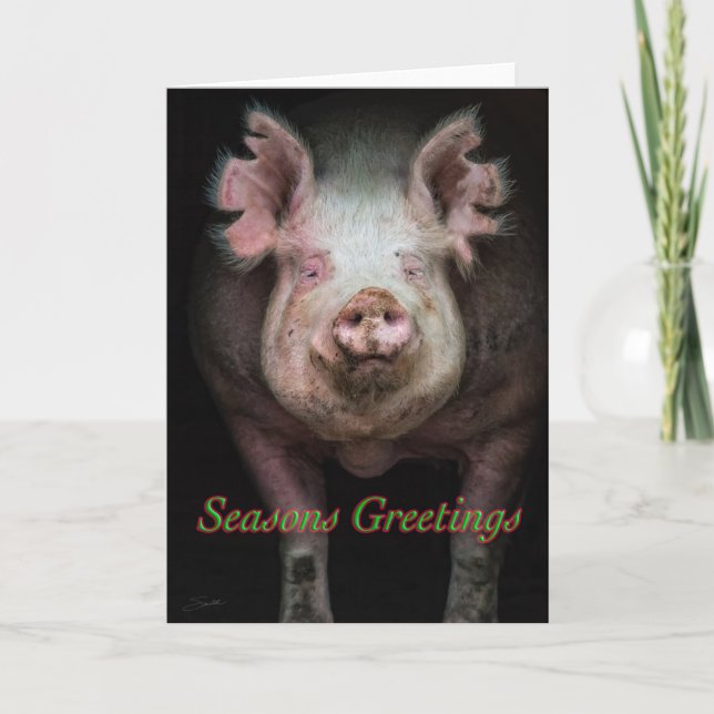 Tarjeta Festiva Saludos de cerdo (Anverso)