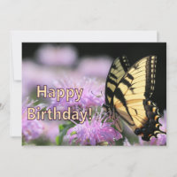 Saludos de cumpleaños de la mariposa de cola torta