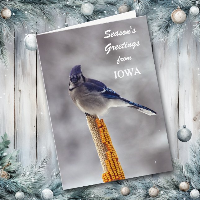 Tarjeta Festiva Saludos de la temporada de Jay azules desde Iowa (Subido por el creador)