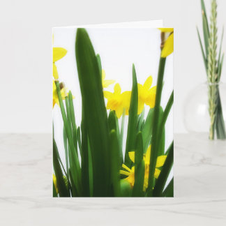 Tarjeta Festiva Saludos de Pascua