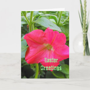 Tarjeta Festiva Saludos de Pascua, Feliz Pascua, flor de petunia r