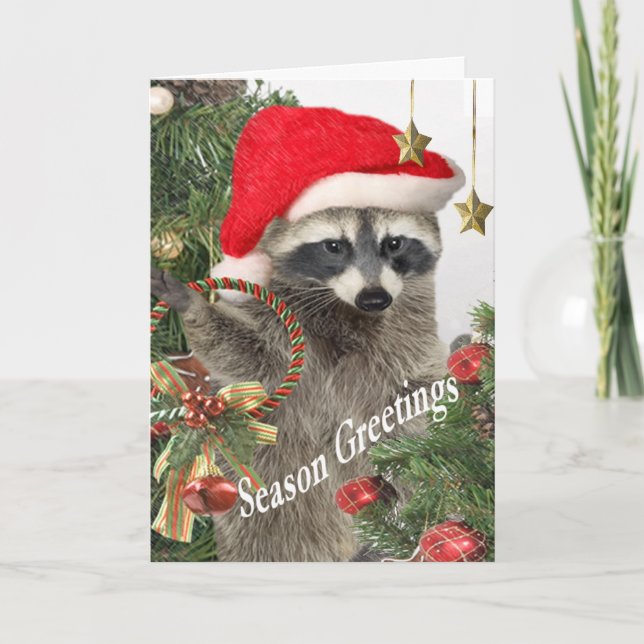 Tarjeta Festiva Saludos de Raccoon Holiday (Anverso)