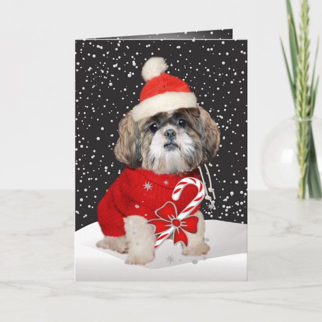 Tarjeta Festiva Saludos de Shih Tzu Santa Season (Anverso)