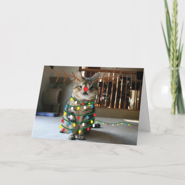 Tarjeta Festiva Saludos de Sneezin (Anverso)