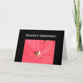 Tarjeta Festiva Saludos de temporada