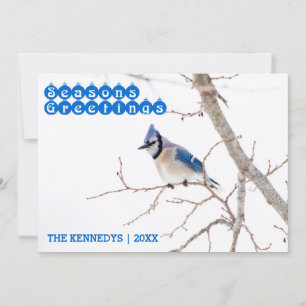 Tarjeta Festiva Saludos de temporada - Alimento de Jay azul en Nie