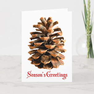 Tarjeta Festiva Saludos de temporada - Cono de pino de Jerusalén
