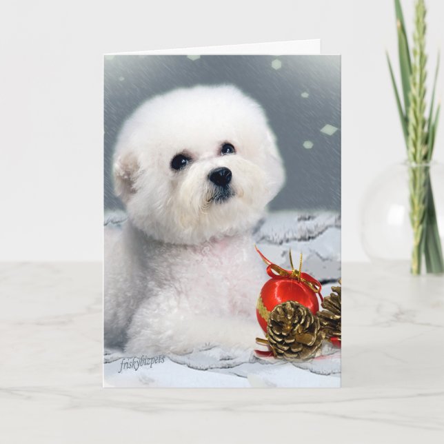 Tarjeta Festiva Saludos de temporada de Bichon (Anverso)