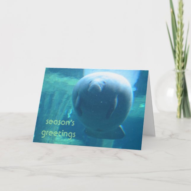 Tarjeta Festiva saludos de temporada - gordo manatee (Anverso)