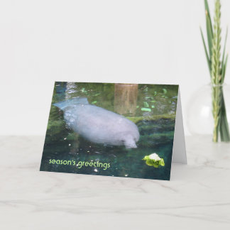 Tarjeta Festiva saludos de temporada - lechuga