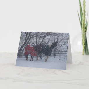 Tarjeta Festiva Saludos de vacaciones