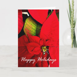 Tarjeta Festiva Saludos del día de fiesta del Poinsettia