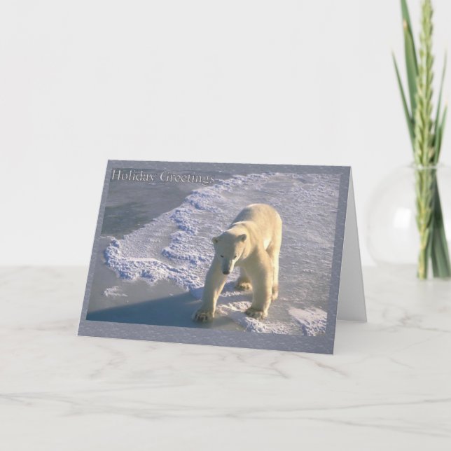 Tarjeta Festiva Saludos del día de fiesta - oso polar (Anverso)