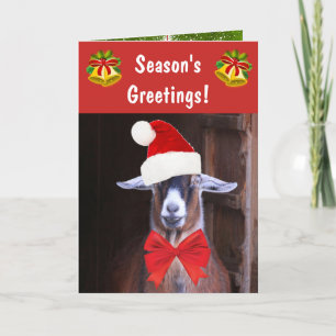 Tarjeta Festiva Saludos divertidos de cabra para la temporada