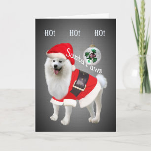 Tarjeta Festiva Samoyed Santa paws Ho Ho Ho Cards