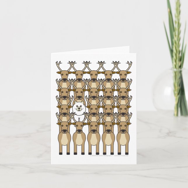 Tarjeta Festiva Samoyedo en el reno (Anverso)