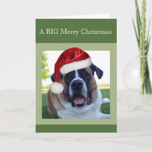 Tarjeta Festiva San Bernard "Big" Merry Christmas