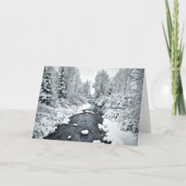 Tarjeta Festiva San Miguel en Telluride Colorado