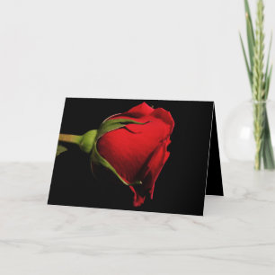 Tarjeta Festiva San Valentín/Canción de las Escrituras Salomón