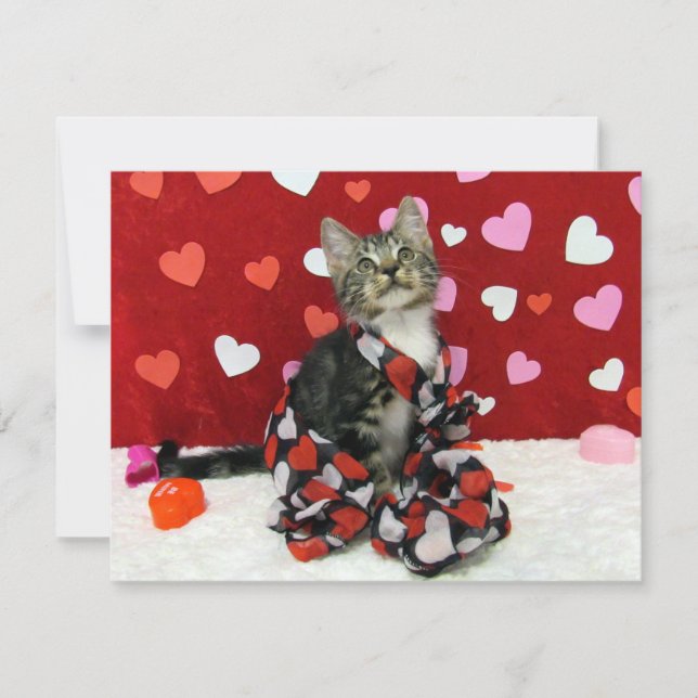 Tarjeta Festiva San Valentín de amor de Bandit - Gato / Gatito - T (Anverso)
