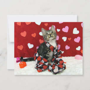 Tarjeta Festiva San Valentín de amor de Bandit - Gato / Gatito - T