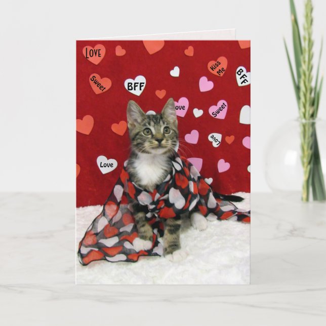 Tarjeta Festiva San Valentín de Bandit - Gato / San Valentín gatit (Anverso)