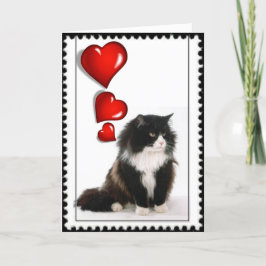 Tarjeta Festiva San Valentín de gato blanco y negro