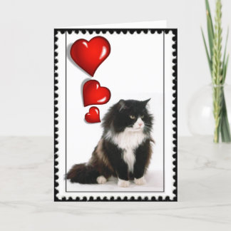 Tarjeta Festiva San Valentín de gato blanco y negro