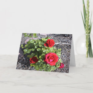 Tarjeta Festiva San Valentín de un marido o una mujer con Bereaved