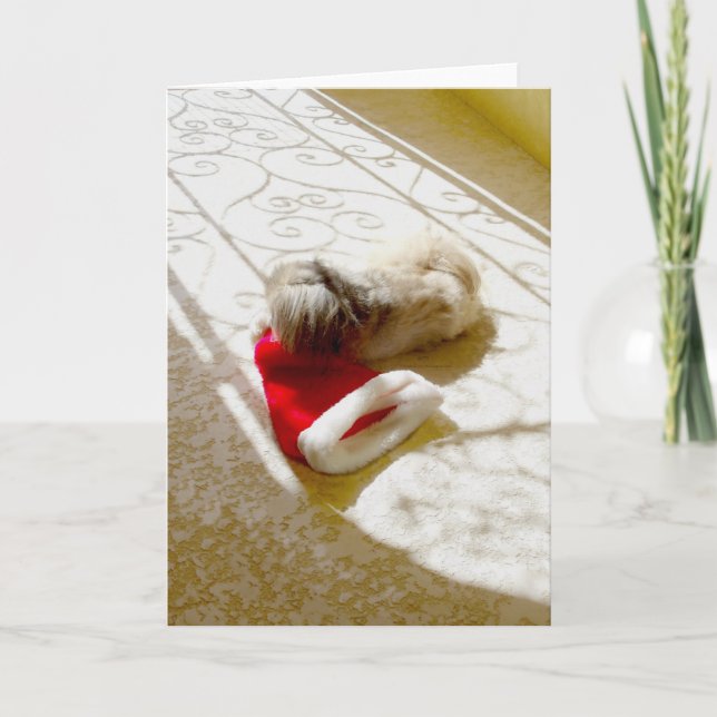 Tarjeta Festiva Santa Capturado (Anverso)