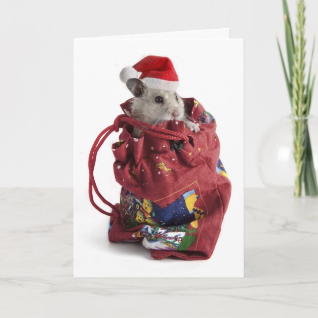 Tarjeta Festiva Santa Claus Hamster (Anverso)