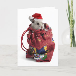 Tarjeta Festiva Santa Claus Hamster