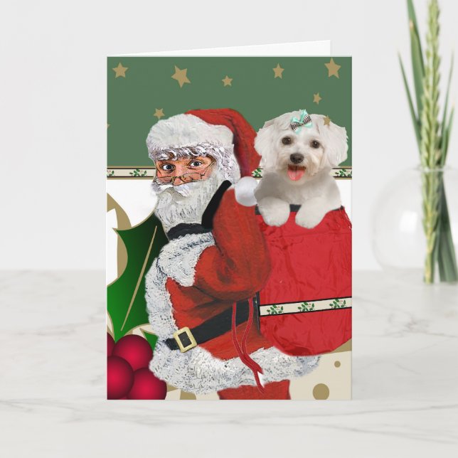 Tarjeta Festiva Santa con maltés en su bolsa (Anverso)