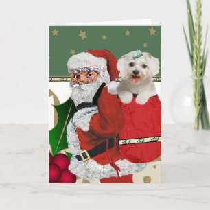 Tarjeta Festiva Santa con maltés en su bolsa