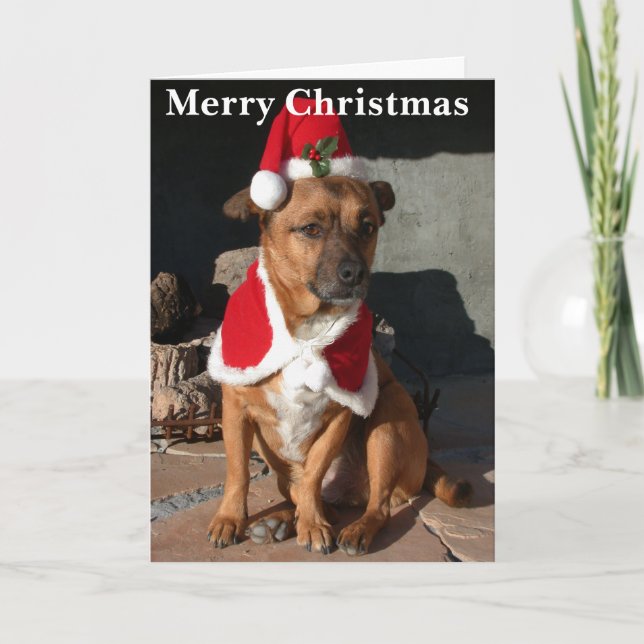 Tarjeta Festiva Santa Dog (Anverso)
