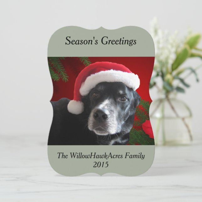 Tarjeta Festiva Santa Dog-Lab/Rottweiler con el fondo del día de (Anverso de pie)