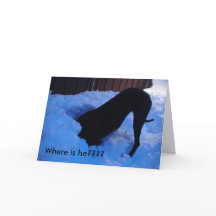 Santa - ¿¿¿Dónde está???