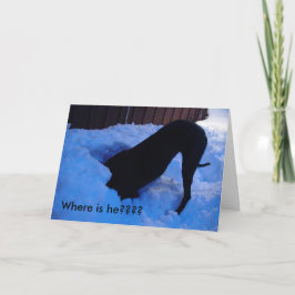 Tarjeta Festiva Santa - ¿¿¿Dónde está???