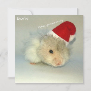 Tarjeta Festiva ¡Santa hámster!