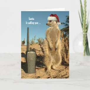 Tarjeta Festiva Santa le está llamando - los saludos 3 de las